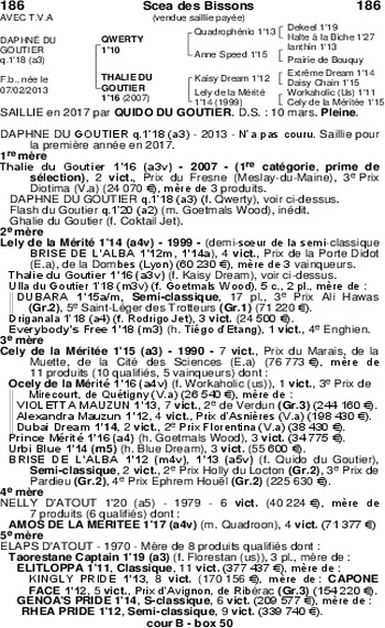 Daphne du Goutier