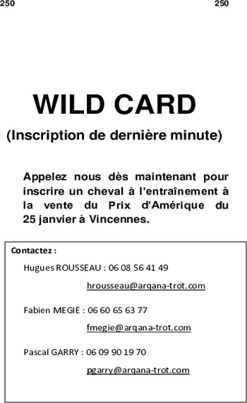 Wild Card 6