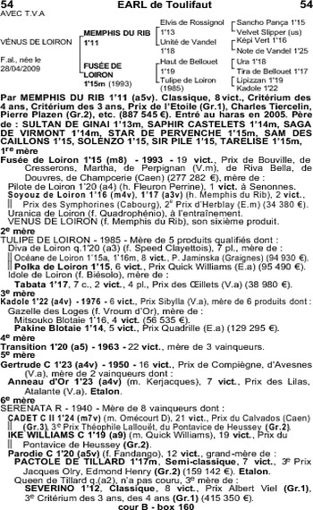 Vénus de Loiron