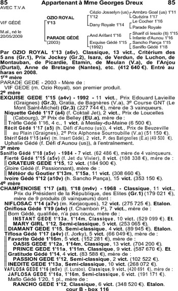 Vif Gédé