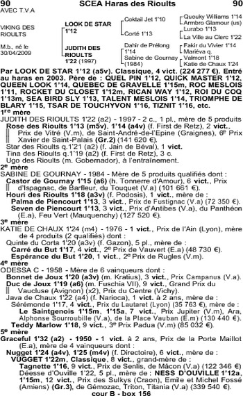 Viking des Rioults