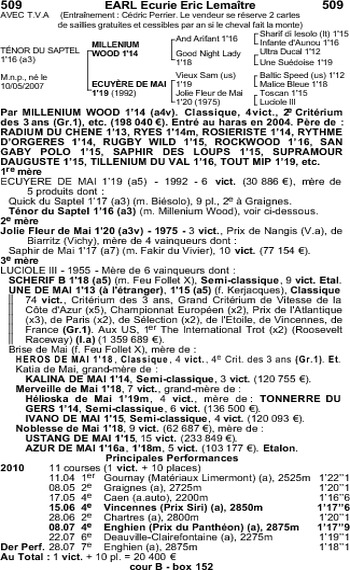 Ténor du Saptel
