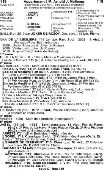 Oka de la Meslière