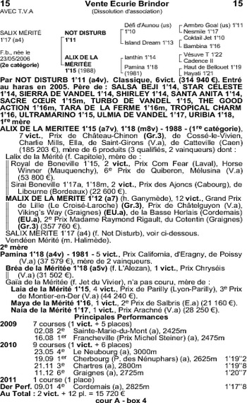 Salix Mérité